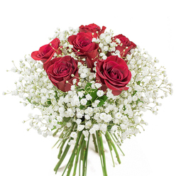 This hand-crafted bouquet embodies Willesden's warm, familiar spirit, elegantly arranged against a soft white background. At its centre, six lush red roses rise proudly, their velvety, deep crimson petals opening into full blooms that feel both inviting and grand. Each rose is carefully offset by a generous mass of white baby's breath, the tiny blossoms cascading like a gentle Willesden rain, creating a dreamy, ethereal effect. The interplay of the passionate red and cloudlike white brings to mind the charm and balance found along the leafy streets of Willesden Green. The long, vibrant green stems, expertly tied and exposed near the base, hint at early morning selections from local flower markets. With its beautifully rounded structure and harmonious palette, this bouquet offers not only a feast for the senses but an invitation-from Willesden florists-to share in moments of love and joyful celebration. Perfect for special occasions or brightening an ordinary day, it's a work of floral art that whispers of affection and thoughtfully grounded community ties.